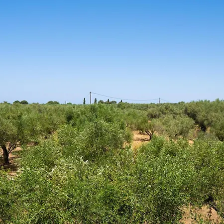 Casa vacanze Messenian Serenity