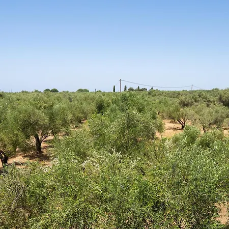 Messenian Serenity Petrochori (Peloponnese)