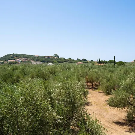Messenian Serenity * Petrochori (Peloponnese)