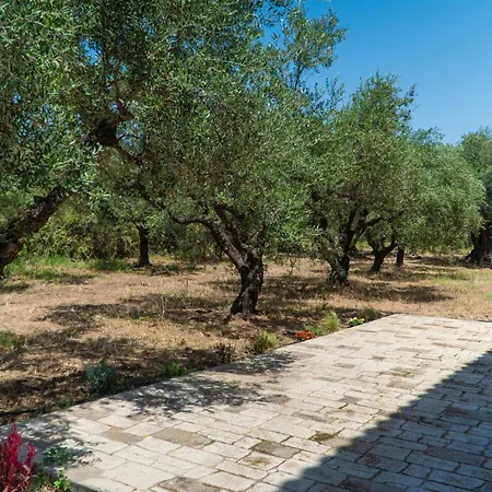 Messenian Serenity Petrochori (Peloponnese)