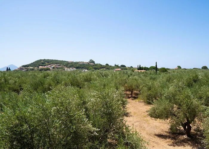 Messenian Serenity * Petrochori (Peloponnese)