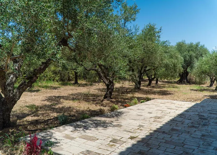 Messenian Serenity Petrochori (Peloponnese)